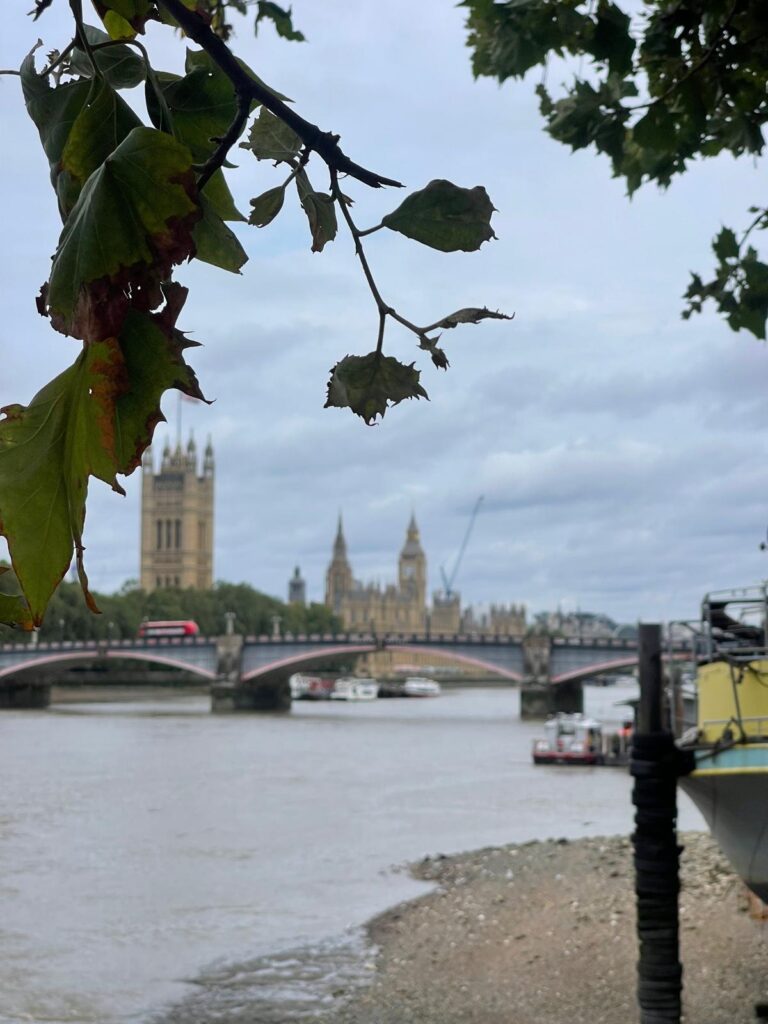 نشاطات السياحة في لندن