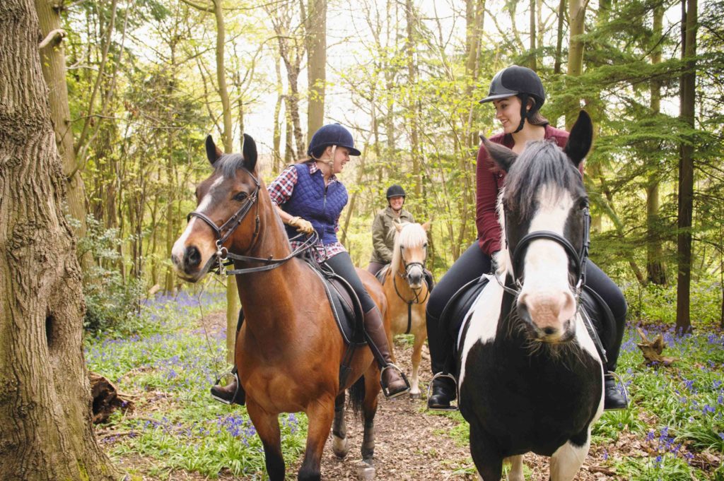 Brighton Horse Riding Trip