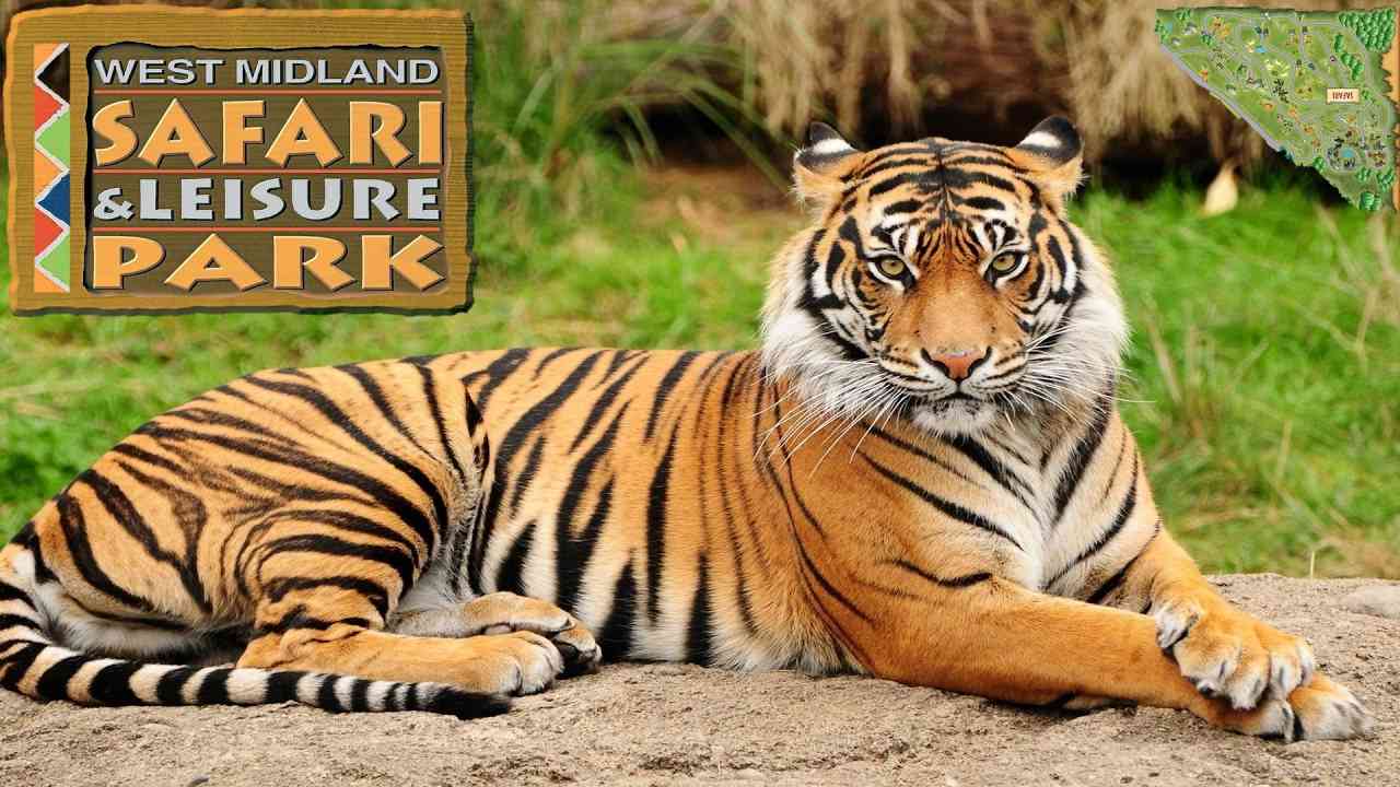 Safari Park West Midlands جولة سفاري بارك